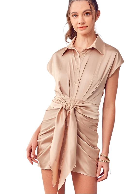 Collar Button Up Front Tie Dress